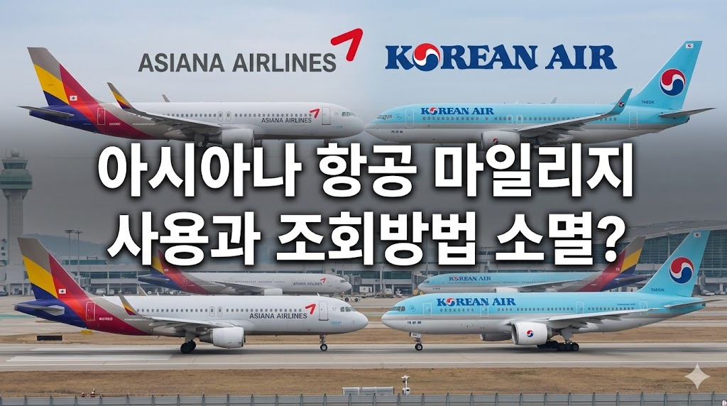 아시아나 마일리지